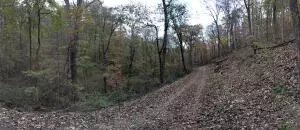 875 Rocky Creek Ln, Marshall, AR 72650 photo 12