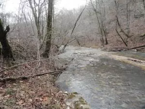 875 Rocky Creek Ln, Marshall, AR 72650 photo 36