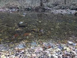 875 Rocky Creek Ln, Marshall, AR 72650 photo 3
