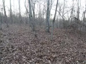 875 Rocky Creek Ln, Marshall, AR 72650 photo 25