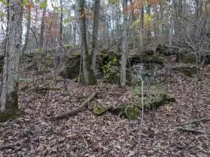 875 Rocky Creek Ln, Marshall, AR 72650 photo 13
