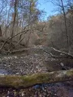875 Rocky Creek Ln, Marshall, AR 72650 photo 2