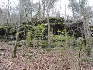 875 Rocky Creek Ln, Marshall, AR 72650 photo 37