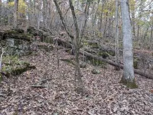875 Rocky Creek Ln, Marshall, AR 72650 photo 17