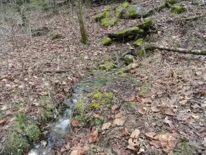 875 Rocky Creek Ln, Marshall, AR 72650 photo 34