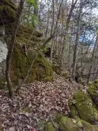 875 Rocky Creek Ln, Marshall, AR 72650 photo 20