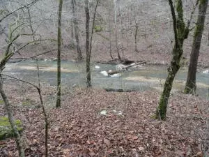 875 Rocky Creek Ln, Marshall, AR 72650 photo 47