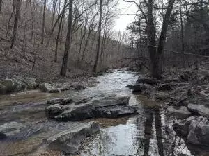 875 Rocky Creek Ln, Marshall, AR 72650
