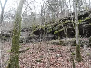 875 Rocky Creek Ln, Marshall, AR 72650 photo 38