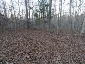 875 Rocky Creek Ln, Marshall, AR 72650 photo 24