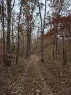 875 Rocky Creek Ln, Marshall, AR 72650 photo 10