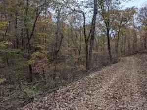 875 Rocky Creek Ln, Marshall, AR 72650 photo 8