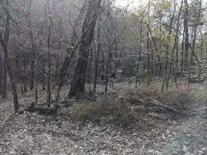 875 Rocky Creek Ln, Marshall, AR 72650 photo 7