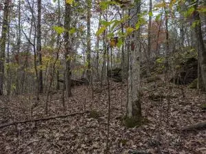 875 Rocky Creek Ln, Marshall, AR 72650 photo 14