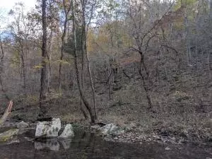 875 Rocky Creek Ln, Marshall, AR 72650 photo 4