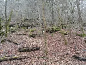 875 Rocky Creek Ln, Marshall, AR 72650 photo 51
