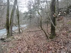 875 Rocky Creek Ln, Marshall, AR 72650 photo 39