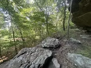 0000 Ar 7 S, Jasper, AR 72641 photo 37