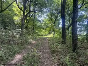 0000 Ar 7 S, Jasper, AR 72641 photo 6