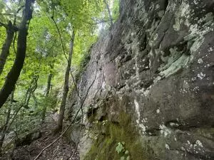 0000 Ar 7 S, Jasper, AR 72641 photo 18