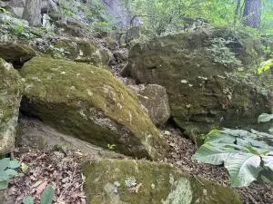 0000 Ar 7 S, Jasper, AR 72641 photo 24