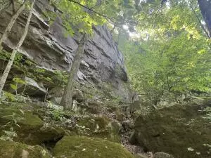 0000 Ar 7 S, Jasper, AR 72641 photo 22