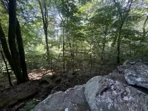 0000 Ar 7 S, Jasper, AR 72641 photo 36