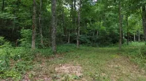 60 Nc 3328, Harrison, AR 72601 photo 36