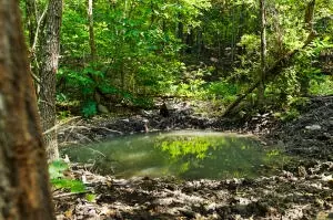 60 Nc 3328, Harrison, AR 72601 photo 14