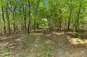 60 Nc 3328, Harrison, AR 72601 photo 43