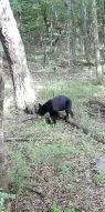 60 Nc 3328, Harrison, AR 72601 photo 29