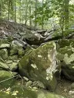 60 Nc 3328, Harrison, AR 72601 photo 32