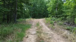 60 Nc 3328, Harrison, AR 72601 photo 35