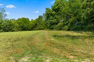 60 Nc 3328, Harrison, AR 72601 photo 37
