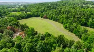 60 Nc 3328, Harrison, AR 72601 photo 7