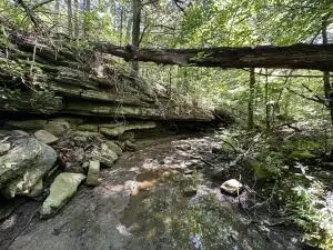 60 Nc 3328, Harrison, AR 72601 photo 9