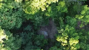 60 Nc 3328, Harrison, AR 72601 photo 39