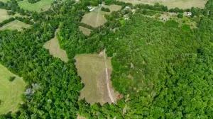 60 Nc 3328, Harrison, AR 72601 photo 26