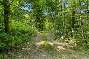 60 Nc 3328, Harrison, AR 72601 photo 12