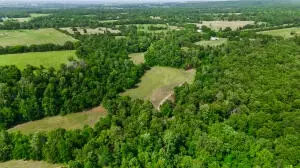 60 Nc 3328, Harrison, AR 72601 photo 13