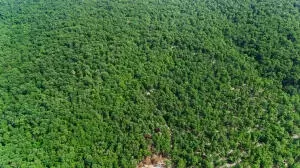 60 Nc 3328, Harrison, AR 72601 photo 18