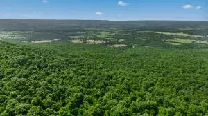 60 Nc 3328, Harrison, AR 72601 photo 16