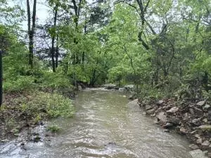 60 Nc 3328, Harrison, AR 72601 photo 33