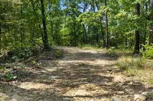 60 Nc 3328, Harrison, AR 72601 photo 17
