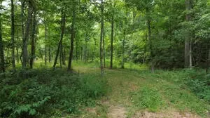60 Nc 3328, Harrison, AR 72601 photo 38