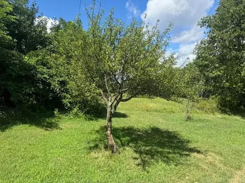 373 Nc 8480, Deer, AR 72628 photo 30