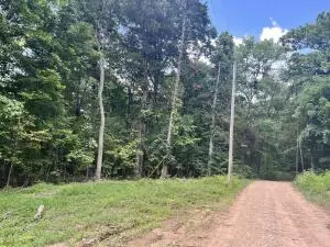 Undisclosed, Jasper, AR 72641 photo 27