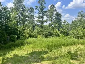 Undisclosed, Jasper, AR 72641 photo 37