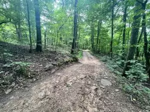Undisclosed, Jasper, AR 72641 photo 25