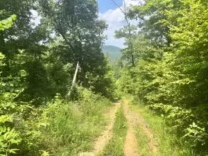 Undisclosed, Jasper, AR 72641 photo 26